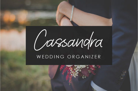 Frichilla Handwritten Script Font Font Balevgraph Studio 