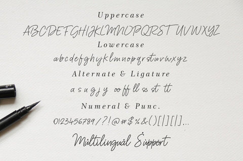 Frichilla Handwritten Script Font Font Balevgraph Studio 