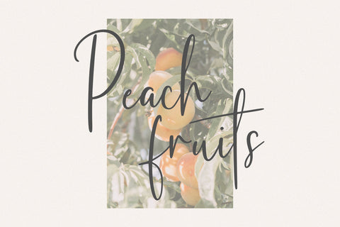 Frunchy Font Font Jimtype Studio 