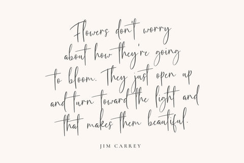 Frunchy Font Font Jimtype Studio 