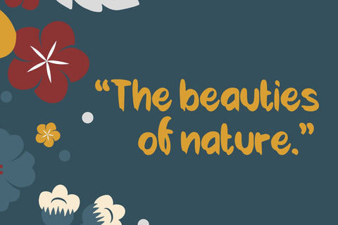 Fujitora Font Forberas 