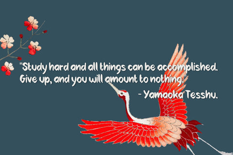 Fujitora Font Forberas 