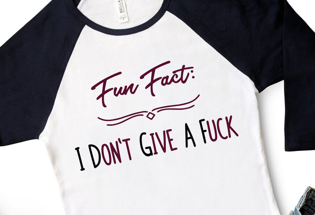 Fun Fact: I Don't Give a Fuck SVG Design SVG Crafting After Dark 