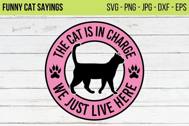 Funny Cat Sayings SVG,Cut File Cricut,Cat Lover svg,Cats SVG, Animal Silhouette,Black Cat,Cat Doormat Svg,Funny Doormat,Funny Welcome Sign SVG NextArtWorks 