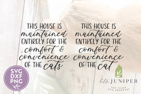 Funny Cat SVG, Cat Mom SVG, Funny Cat Sign SVG LilleJuniper 