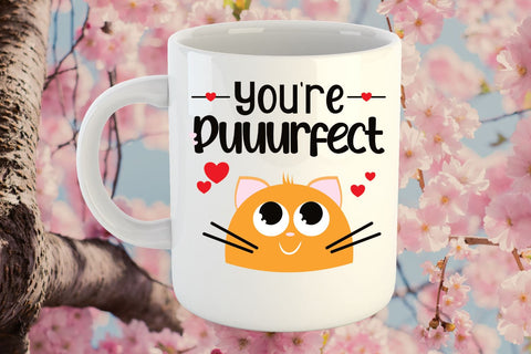 Funny Cat SVG | Cat SVG | Cat Quote SVG | Valentines Day Pun SVG Angel Lynne Designs 