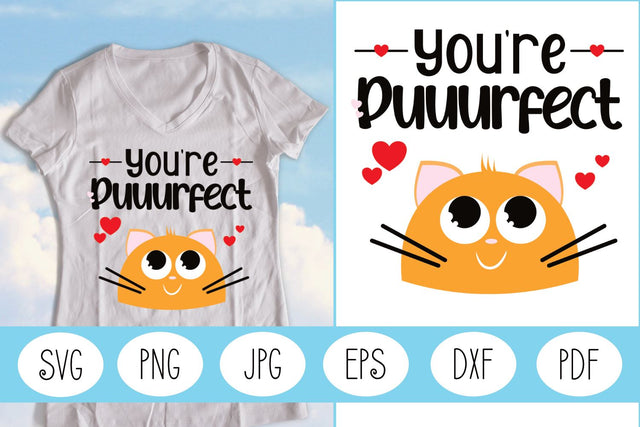 Funny Cat SVG | Cat SVG | Cat Quote SVG | Valentines Day Pun SVG Angel Lynne Designs 