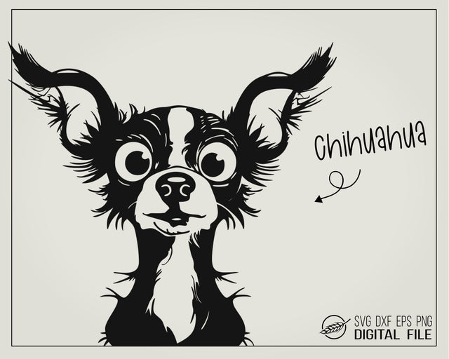 Funny Chihuahua with big eyes SVG file SVG Boertiek 
