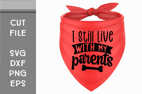 Funny Dog Bandana SVG Bundle, Pet Shirt Svg, Cute Dog Phrases, Will Sit for Treats, Sloppy Kisser, Pet Me Png, Vinyl Decal File for Cricut SVG Svgcraft 