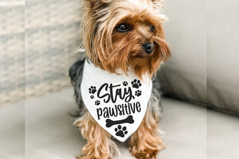 Funny Dog Bandana Svg Bundle SVG DESIGNS DARK 