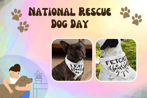 Funny Dog Bandana Svg Bundle SVG Regulrcrative 