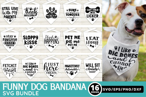 Funny Dog Bandana Svg Bundle SVG Regulrcrative 