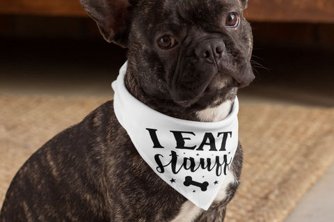 Funny Dog Bandana Svg Bundle SVG Regulrcrative 