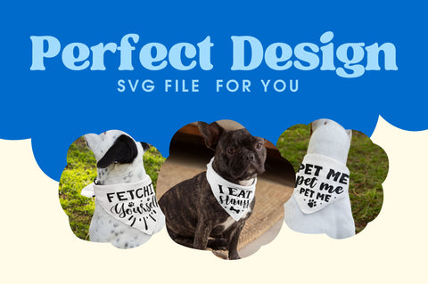Funny Dog Bandana Svg Bundle SVG Regulrcrative 