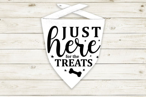 Funny Dog Bandana Svg Bundle SVG Regulrcrative 