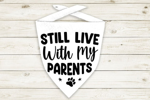 Funny Dog Bandana Svg Bundle SVG Regulrcrative 