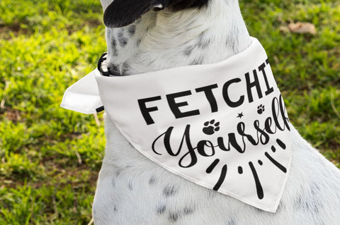 Funny Dog Bandana Svg Bundle SVG Regulrcrative 