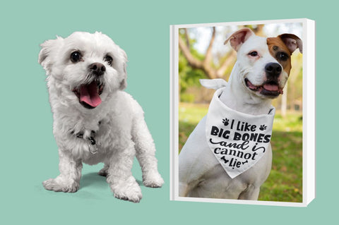 Funny Dog Bandana Svg Bundle SVG Regulrcrative 