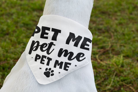 Funny Dog Bandana Svg Bundle SVG Regulrcrative 