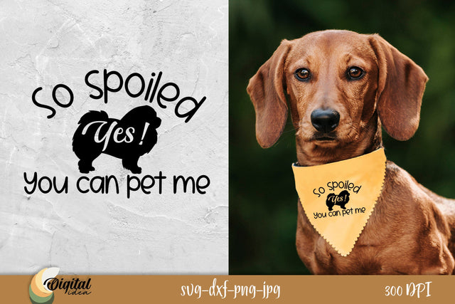 Funny Dog Quote SVG. Dog Bandanas SVG. Dog Ornaments SVG. SVG Evgenyia Guschina 