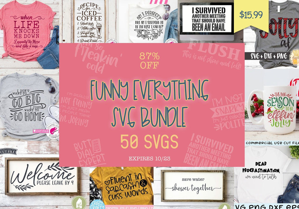 Funny Everything SVG Bundle | So Fontsy