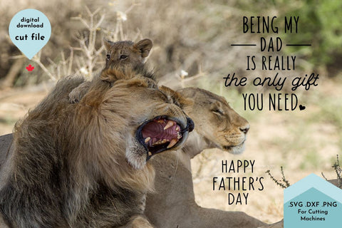 Funny Father's Day SVG Cut File SVG Lettershapes 