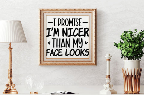 Funny Quotes SVG Bundle SVG Regulrcrative 