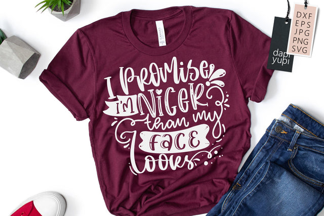 Funny Quotes SVG I Promise I'm Nicer Than My Face Looks SVG dapiyupi store 