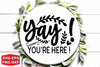 Funny Round Signs SVG Bundle - So Fontsy