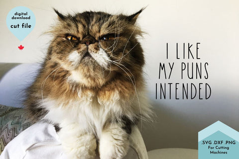 Funny Sarcastic Quote SVG Cut File - Hand Lettered SVG Lettershapes 