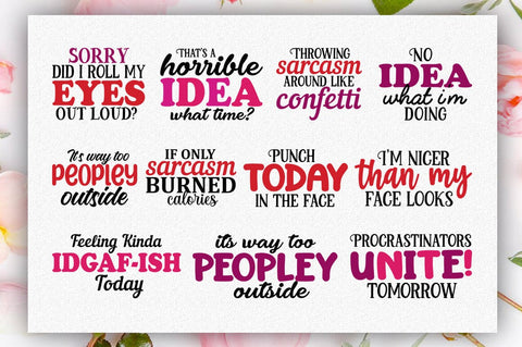 Funny Sarcastic SVG Bundle, 35 Design SVG Shetara Begum 