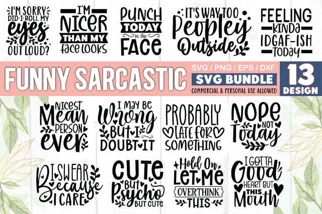 Funny Sarcastic SVG Bundle SVG Ariyan 