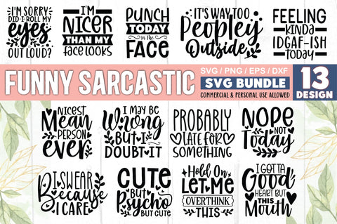 Funny Sarcastic SVG Bundle SVG Ariyan 