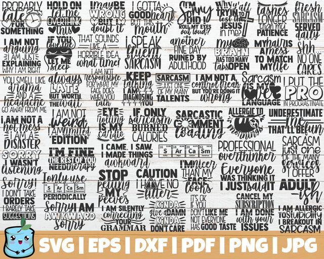 Funny Sarcastic SVG Bundle SVG MintyMarshmallows 