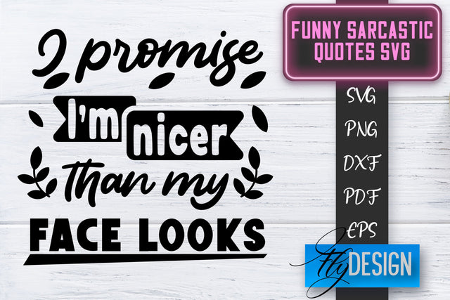 Funny Sarcastic SVG | Sarcastic Quotes SVG | Sarcastic Sayings SVG SVG Fly Design 