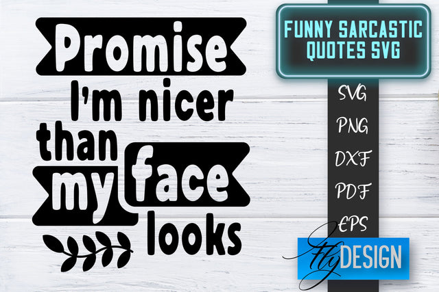 Funny Sarcastic SVG | Sarcastic Quotes SVG | Sarcastic Sayings SVG SVG Fly Design 