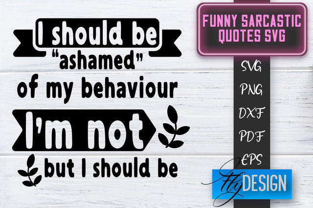 Funny Sarcastic SVG | Sarcastic Quotes SVG | Sarcastic Sayings SVG SVG Fly Design 