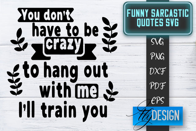 Funny Sarcastic SVG | Sarcastic Quotes SVG | Sarcastic Sayings SVG SVG Fly Design 