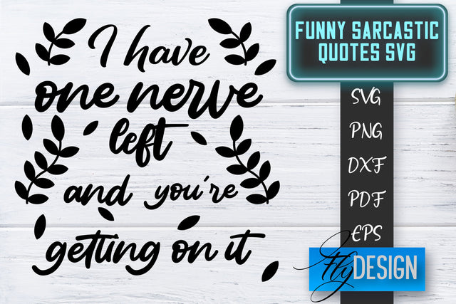 Funny Sarcastic SVG | Sarcastic Quotes SVG | Sarcastic Sayings SVG SVG Fly Design 