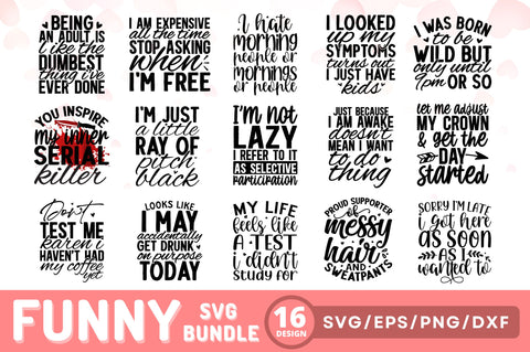 Funny SVG Bundle SVG Regulrcrative 