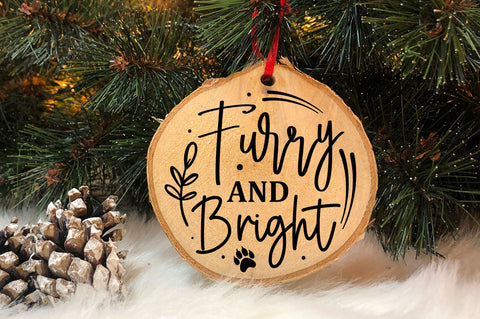 Furry and bright SVg Design SVG Regulrcrative 