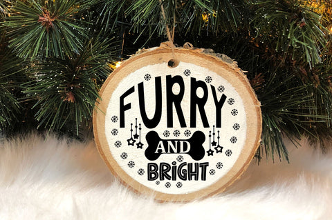 Furry and bright SVG Design SVG Regulrcrative 