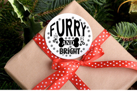 Furry and bright SVG Design SVG Regulrcrative 