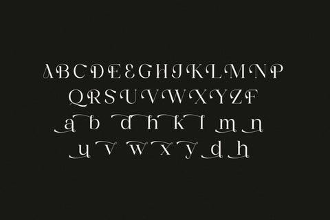 GAELA Typeface Font Storytype Studio 