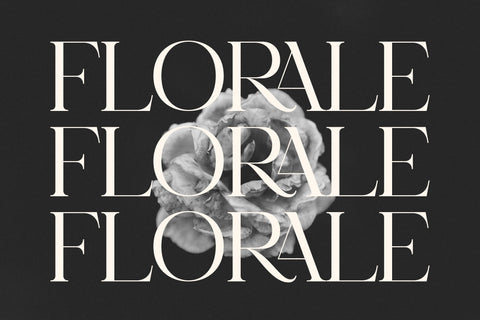 GAELA Typeface Font Storytype Studio 