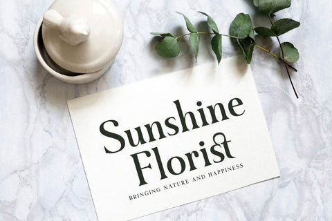 Gafigste Typeface Font Storytype Studio 