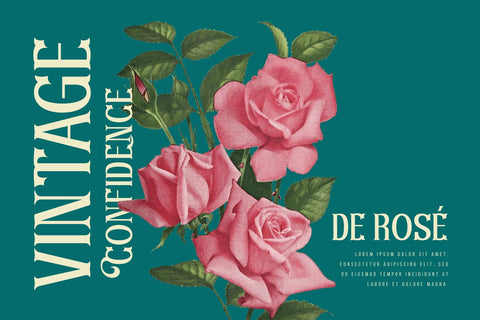 Gafineth – Serif Classic Modernism Font Font twinletter 