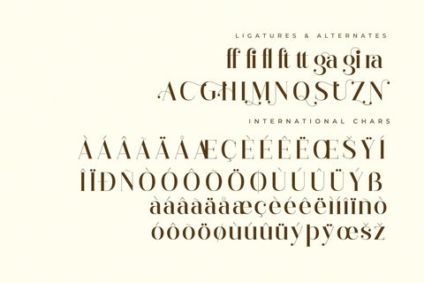 Gagisra Rigade Typeface Font Storytype Studio 