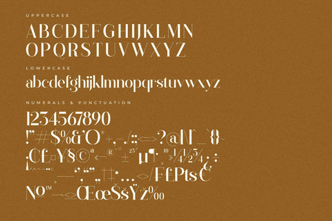 Gagisra Rigade Typeface Font Storytype Studio 