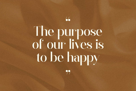 Gagisra Rigade Typeface Font Storytype Studio 